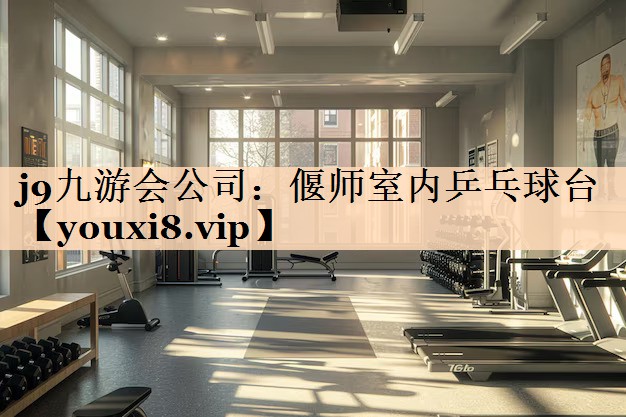 偃师室内乒乓球台