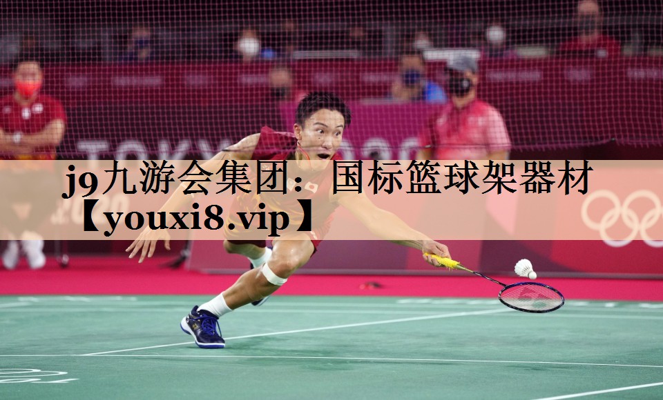 国标篮球架器材
