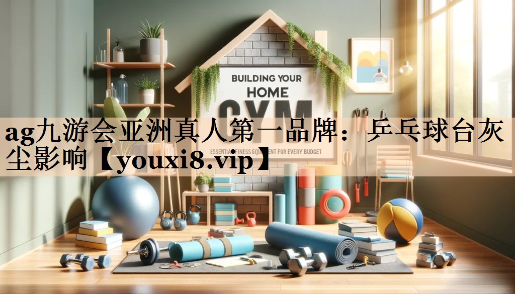 乒乓球台灰尘影响